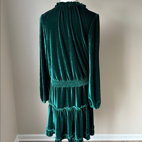 Listicle Emerald Green Velvet Dress - Picture 7 of 12
